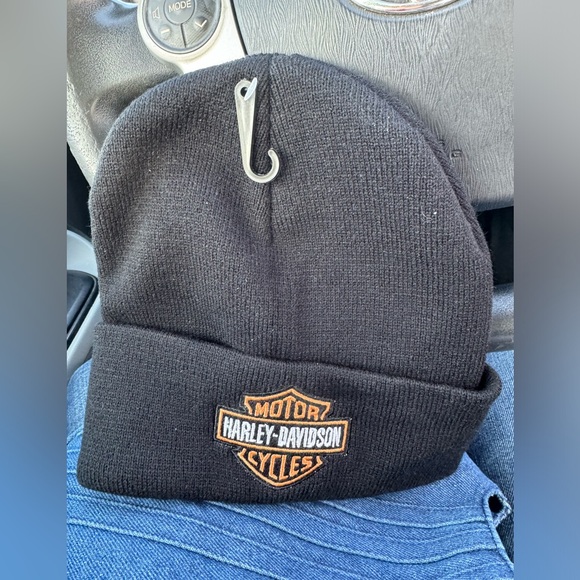 Other - Hardly David said beanie unisex looks cool on. Black and new!